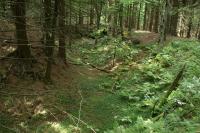 Fort Wilhelma