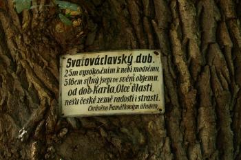  ( © Milan Caha 09/2009)