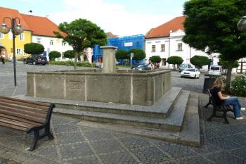  ( © Milan Caha 06/2009)