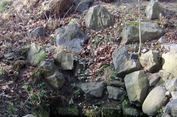 Studánka v zámeckém parku (© Lukáš Pechánek, 03/2012)