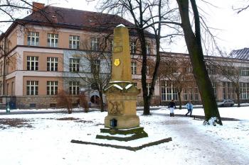 ( © Milan Caha 02/2011)