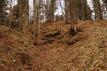 Vnitřní příkop (© Michal Šmýd, 02/2011)