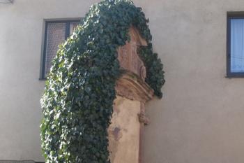  ( © Milan Caha 02/2011)