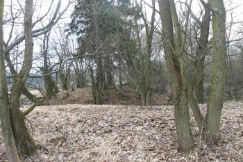  (© Prudký Martin, 03/2011)