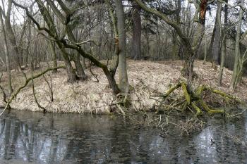  (© Prudký Martin, 03/2011)
