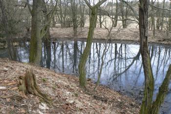  (© Prudký Martin, 03/2011)