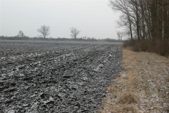 Krňovice (© Otto Slabý, 02/2011)