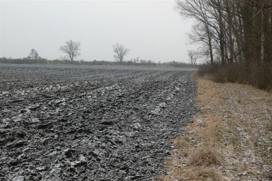 Krňovice