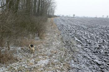 Krňovice (© Otto Slabý, 02/2011)