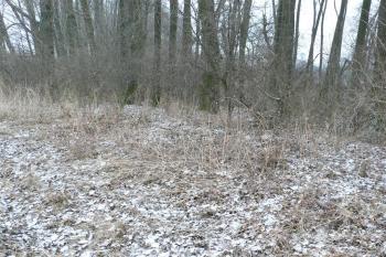 Krňovice (© Otto Slabý, 02/2011)