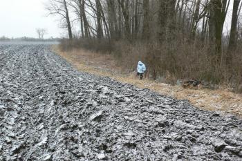 Krňovice (© Otto Slabý, 02/2011)