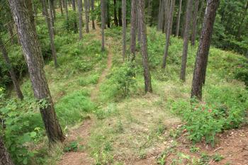 Pohled na hradiště (© Martin Kabeláč, 07/2009)