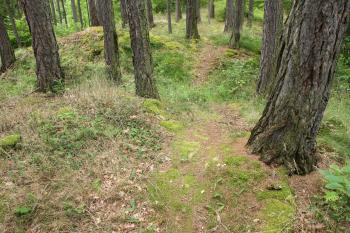 Patrný příkop (© Martin Kabeláč, 07/2009)