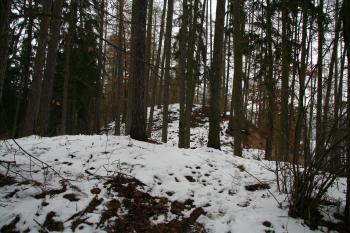 Pohled na jádro přes příkop ( © Petr Nožička 04/2013)
