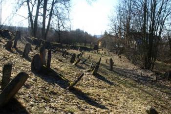  ( © Milan Caha 03/2011)