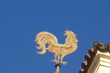  ( © Milan Caha 03/2011)