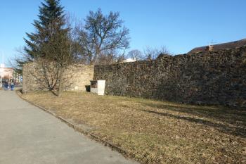  ( © Milan Caha 01/2013)