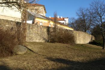  ( © Milan Caha 01/2013)