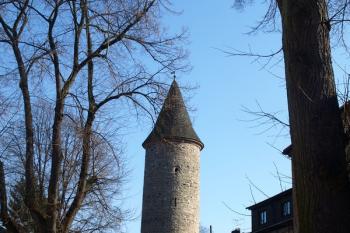  ( © Milan Caha 01/2013)