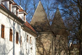  ( © Milan Caha 01/2013)