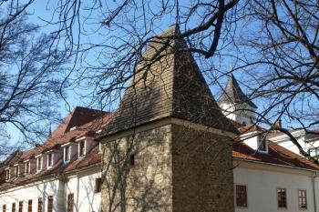 ( © Milan Caha 01/2013)