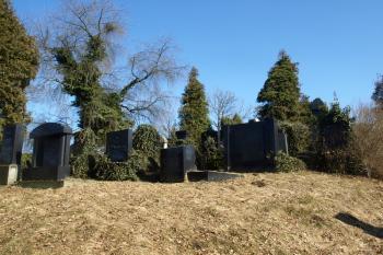  ( © Milan Caha 03/2011)
