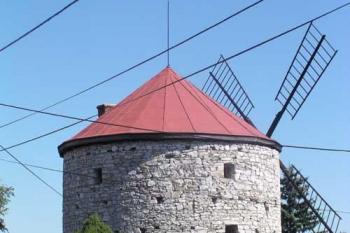  (© Tomáš Berka, 04/2007)