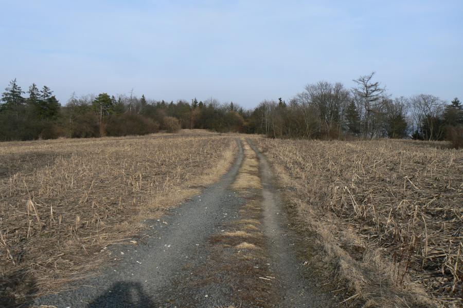 Třeskonice