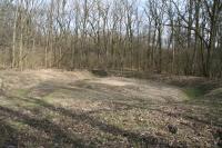 Mikulčice