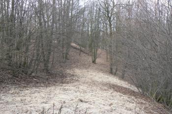 Severní svah (© Prudký Martin, 03/2011)