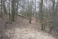 Žichov, Schichow