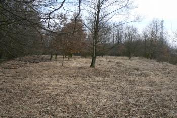 Tvrziště (© Prudký Martin, 03/2011)