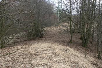 Vstupní šíje (© Prudký Martin, 03/2011)