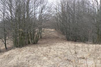 Vstup (© Prudký Martin, 03/2011)