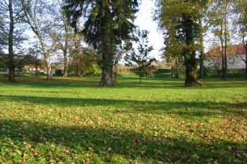 zámecký park (© D Dohňanský, 11/2014)
