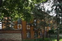 Nenovice