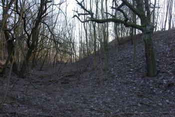  (© Aleš Novák, 03/2011)