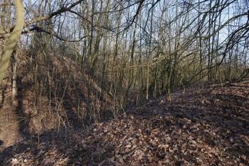příkop a val (© Aleš Novák, 03/2011)