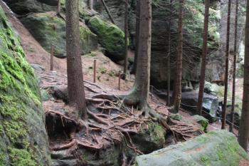 Přístupová cesta z údolí Křinice ( © Ivan Grisa 03/2011)