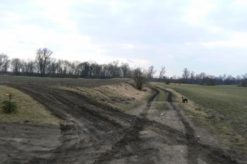  (© Prudký Martin, 03/2011)