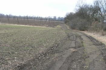 Nejjižnější výběžek hradiště (© Prudký Martin, 03/2011)
