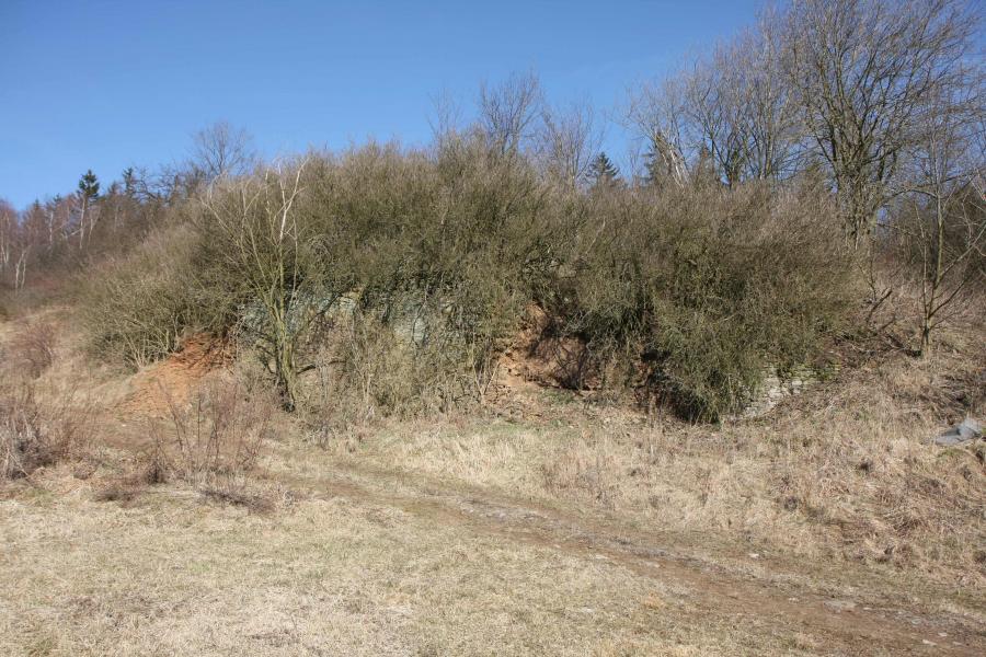 Brložec