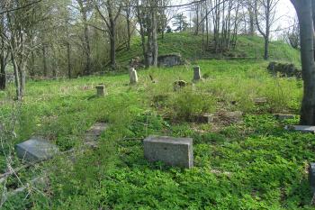 Pohled na pahorek tvrziště (© Martin Kabeláč, 05/2006)
