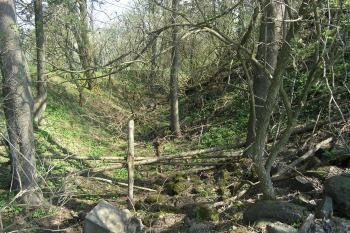 Příkop tvrze (© Martin Kabeláč, 05/2006)