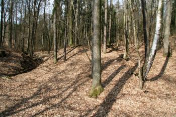 Pohled nad přepolí tvrze ( © Petr Nožička 03/2011)