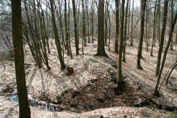Pohled na tvrziště ( © Petr Nožička 03/2011)