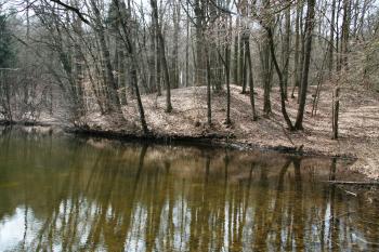 Pohled na centrální pahorek tvrziště přes rybník ( © Petr Nožička 03/2011)