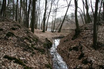  ( © Petr Nožička 03/2011)
