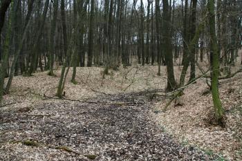 Příkop a val ( © Petr Nožička 03/2011)
