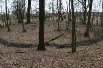  ( © Petr Nožička 03/2011)